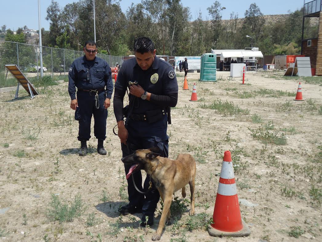 Buscan certificar la actuación de las Policías Caninas