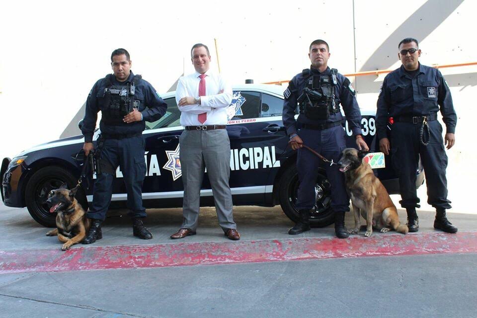 k-9 mostrará su alto nivel en la 25ª prueba anual de policías caninas, en Las Vegas