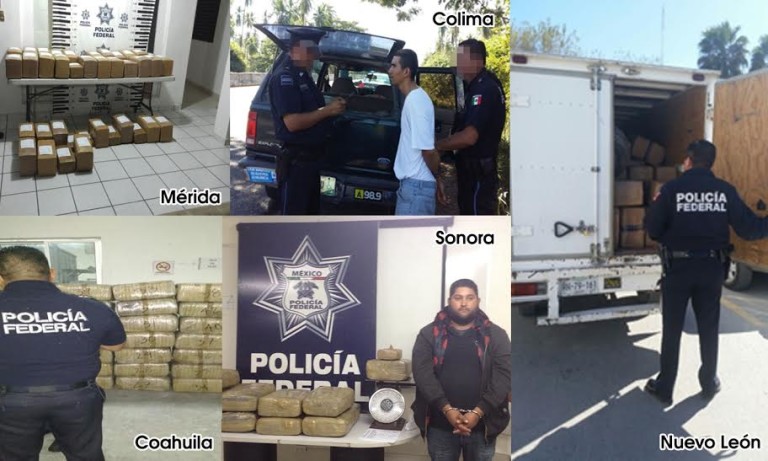 Decomisan más de una tonelada y media de marihuana en diferentes operativos