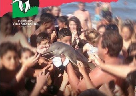 Sacan a un delfín para tomarse selfies