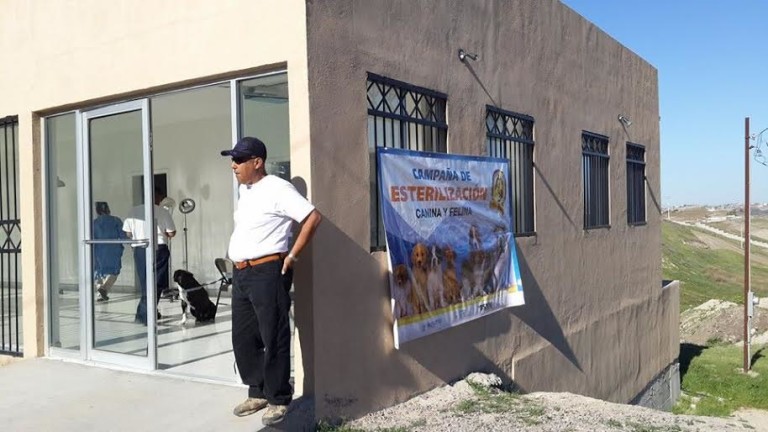 Implementan programas de esterilización y vacunación en Rosarito