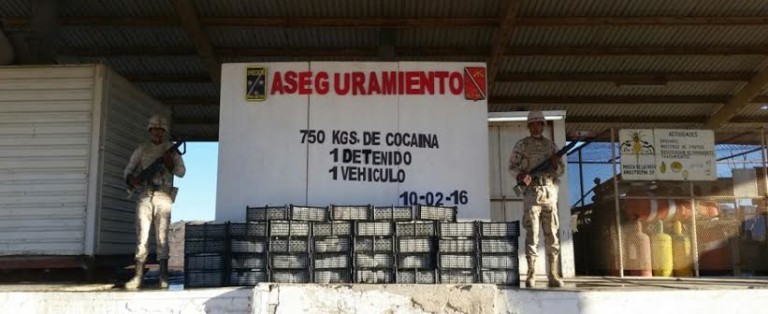 Decomisan más de media tonelada de cocaína en Sonora