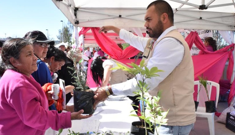 Beneficia Vivero del Parque Morelos a BC