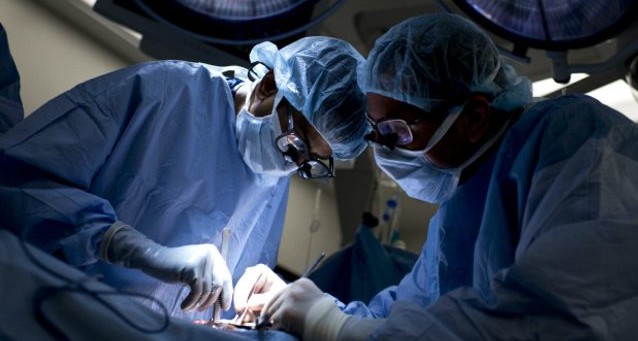 El avance que puede revolucionar los trasplantes de órganos