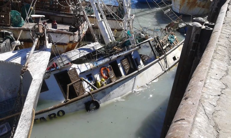 Atiende PROFEPA hundimiento de barco en el puerto de San Felipe