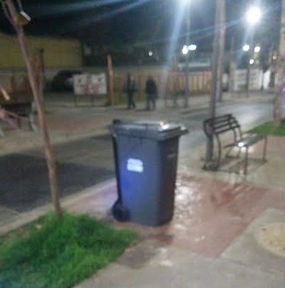 Gestiona Ayuntamiento de Rosarito 300 contenedores de basura para el municipio