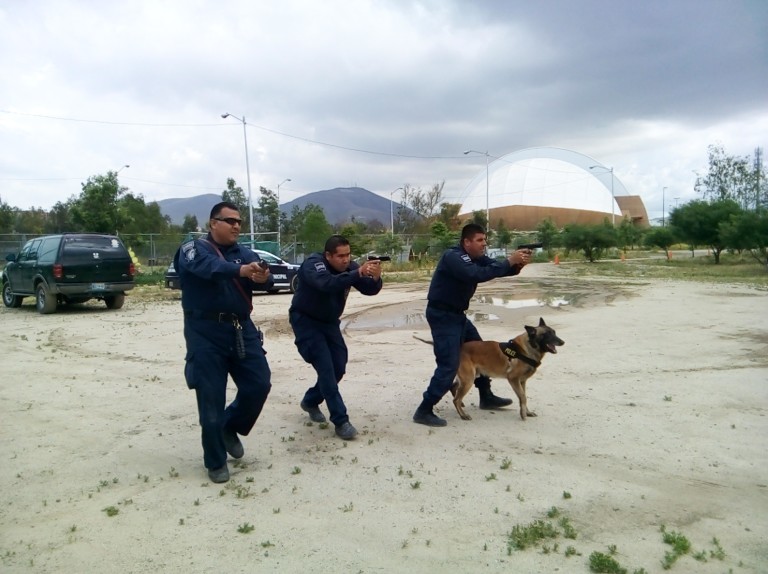 La Unidad Canina es entrenada para su próxima competencia en Arizona