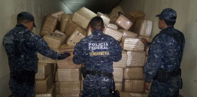 Policía Federal aseguró cerca de 24 toneladas de marihuana