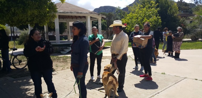 Continúa campaña de vacunación antirrábica en colonias de Playas de Rosarito