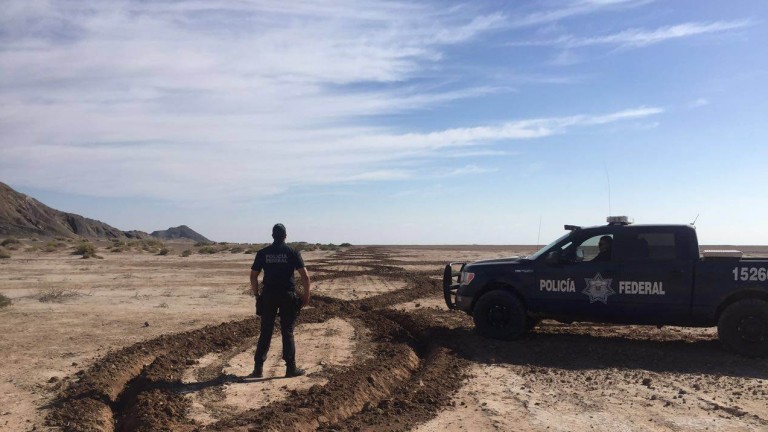 Policía Federal localizó y deshabilitó una pista clandestina de aterrizaje en Mexicali, BC