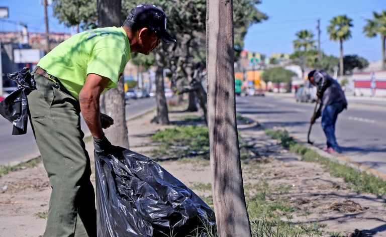 Gobierno de la Ciudad retira 43 mil toneladas de basura doméstica cada mes