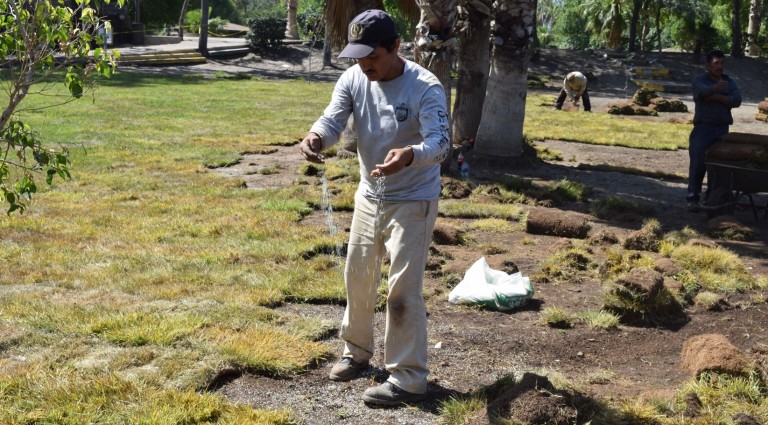 Recupera Simpatt área verdes del Parque Morelos