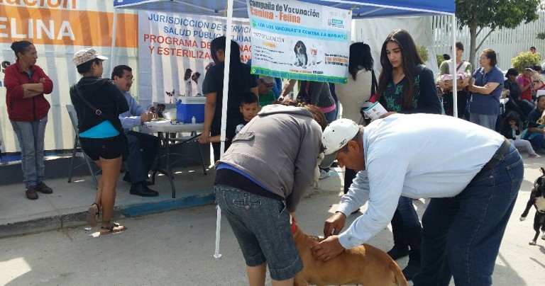 LLamado a la población a evitar las garrapatas en nuestras mascotas para la prevención de enfermedades