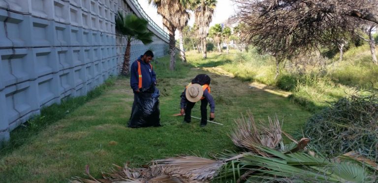 Ayuntamiento de Tijuana continúa jornadas de limpieza y rehabilitación