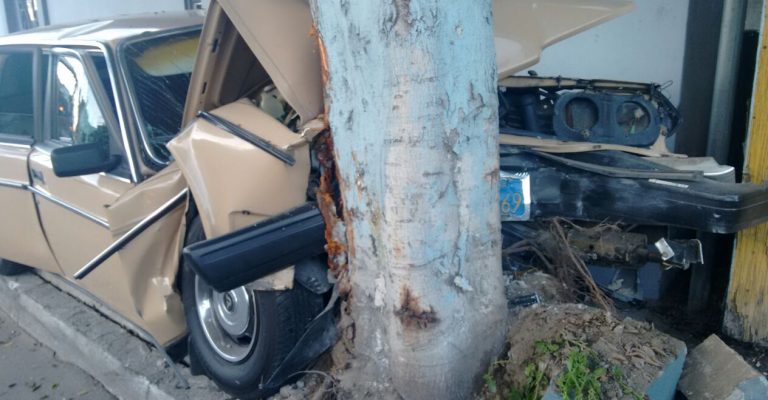 Chocó su automóvil contra la base de un árbol