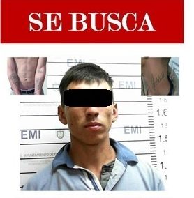 Detuvo la Policía Municipal a probable autor de robo domiciliario en Sánchez Taboada