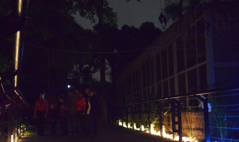 Habrá Recorridos nocturnos en el Zoológico del Parque Morelos