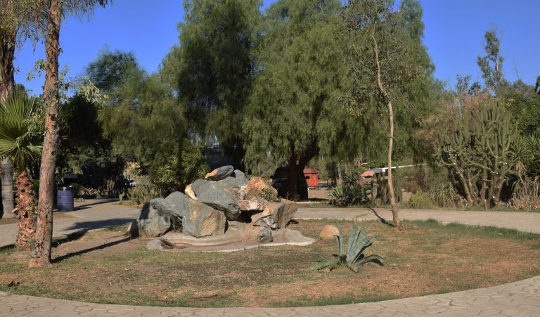 Tiene el Parque Morelos museo de plantas nativas de BC