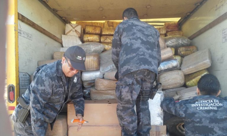 Incinera PGR más de cuatro toneladas de narcóticos en Mexicali