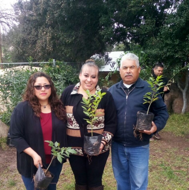 Dirección de Ecología de Tecate dona mil arboles para reforestar las Delegaciones Municipales