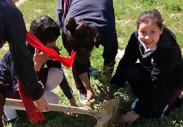 Alumnos de primaria reciben  Tallares de Reforestación