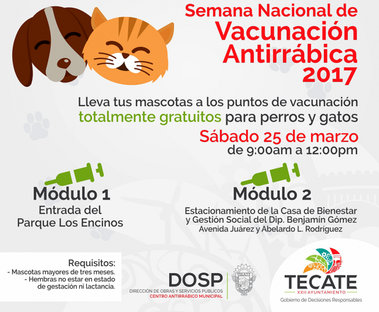 Arranca Semana Nacional de Vacunación Antirrábica en Tecate