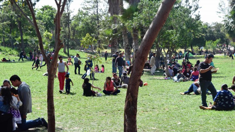 SIMPATT invita a visitar el Parque Morelos en Semana Santa