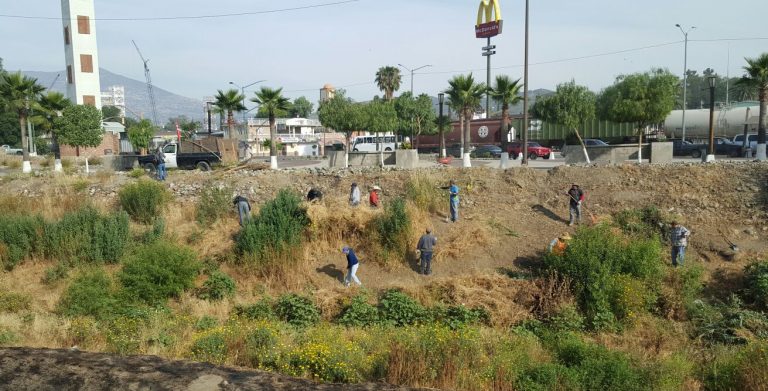 Obras Públicas intensifica trabajos de limpieza en el Río Tecate