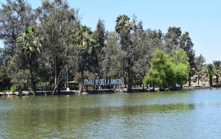 SIMPATT convoca a participar en jornada de limpieza del Parque de la Amistad