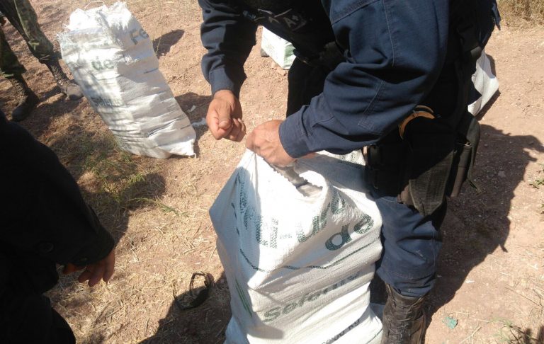 División de Fuerzas Federales de la Policía Federal asegura 81 kilos de marihuana