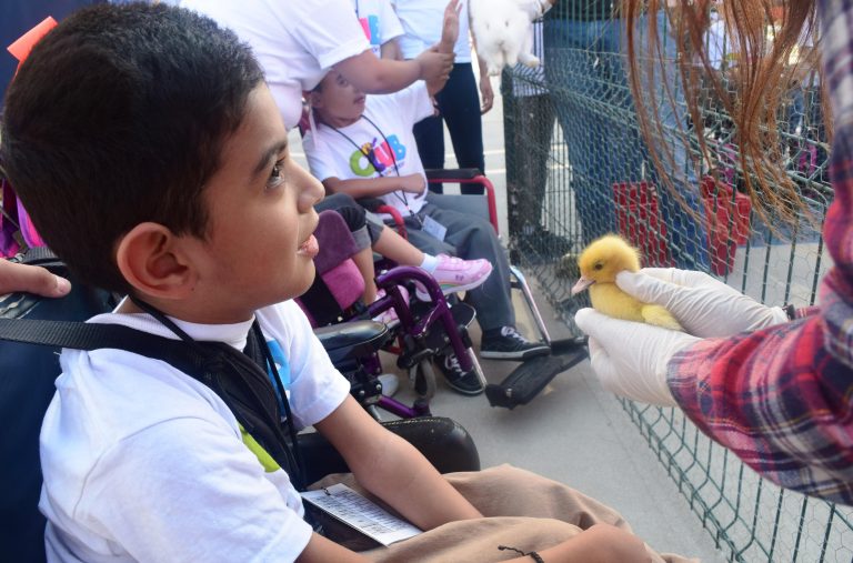 Conviven animales del Zoológico de Tijuana con niños del CRIT
