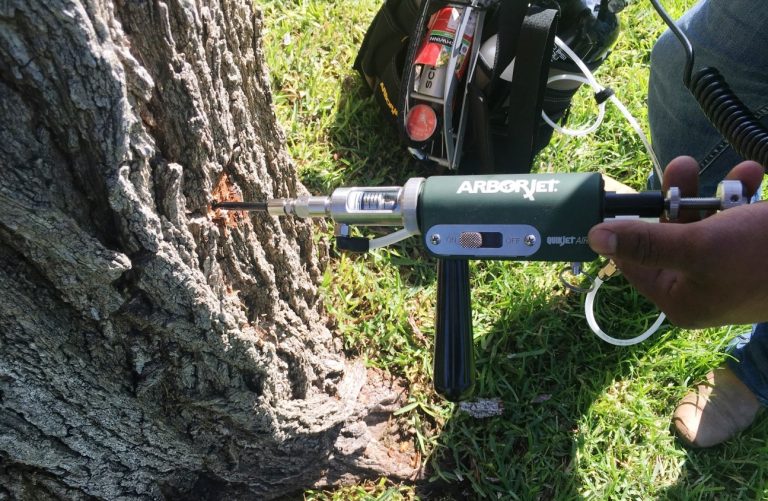 SIMPATT implementa programa para controlar las plagas en árboles