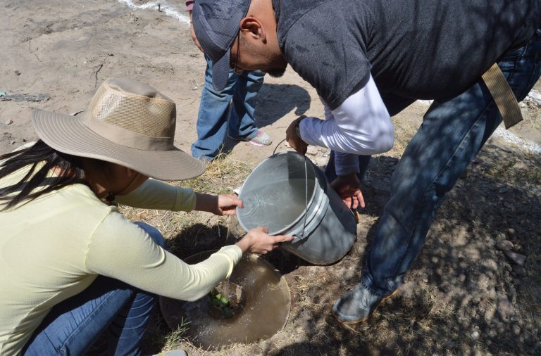 Realizan Jornada de forestación en BLVD.2000