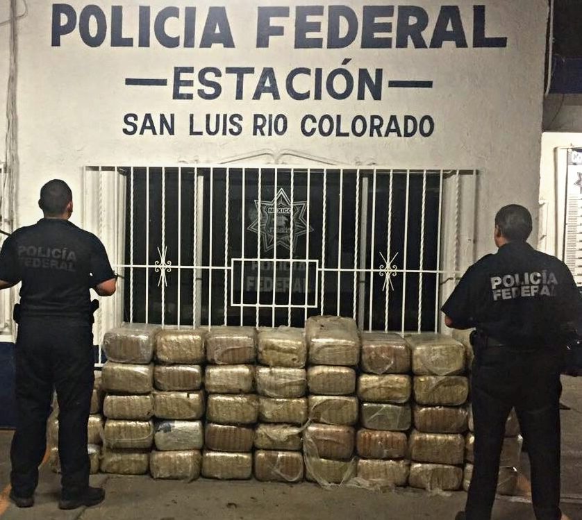 Policía Federal asegura cerca de 460 kilogramos de marihuana en San Luis Río Colorado, Sonora