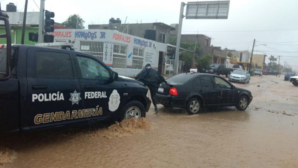 Policía Federal mantiene apoyo en Los Cabos Baja California, tras el paso de la tormenta tropical “Lidia”