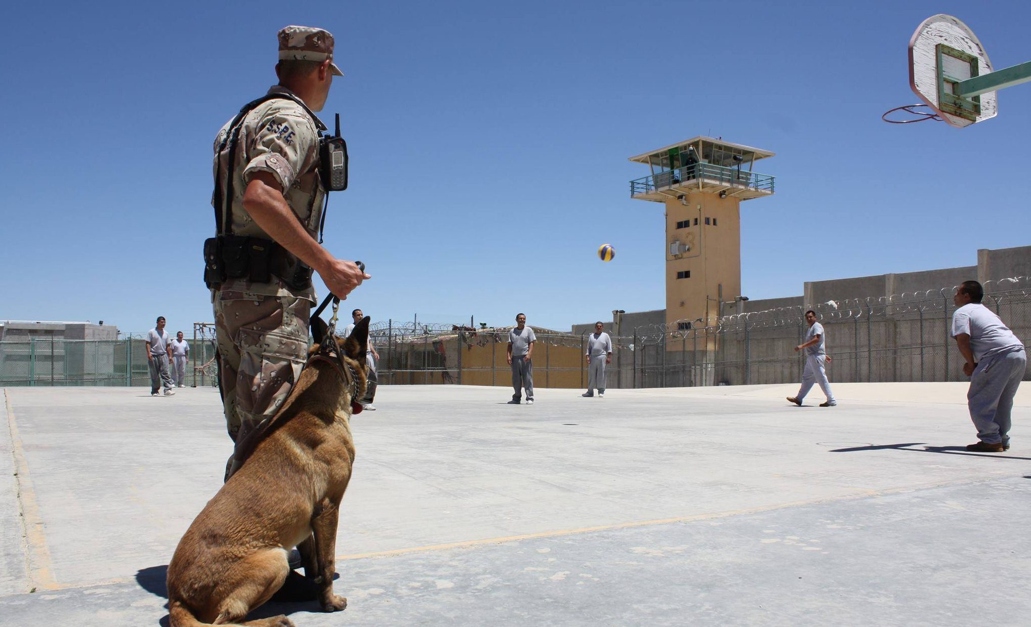 Dona Embajada de EU  agentes caninos al Sistema Penitenciario de BC