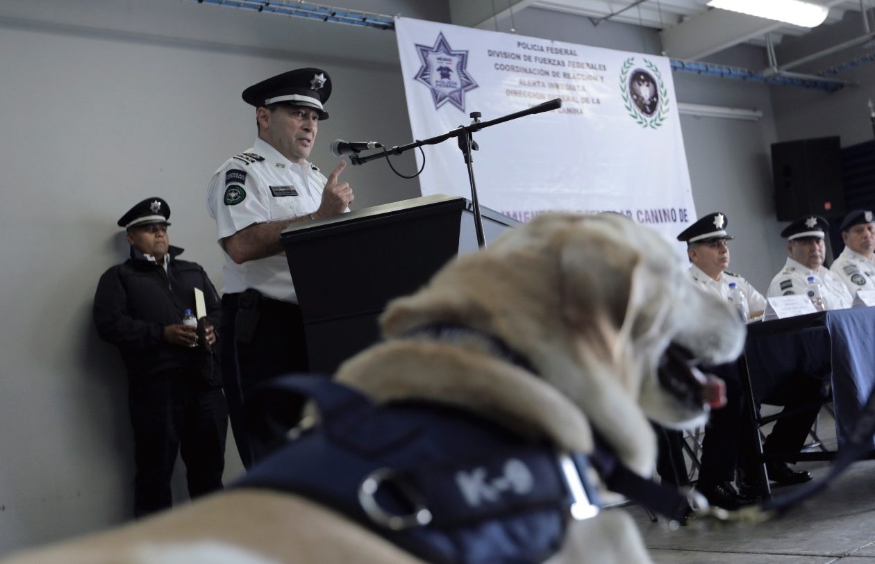 Policía Federal reconoce la trayectoria de “René”, oficial canino que se retira al enfrentar una enfermedad terminal