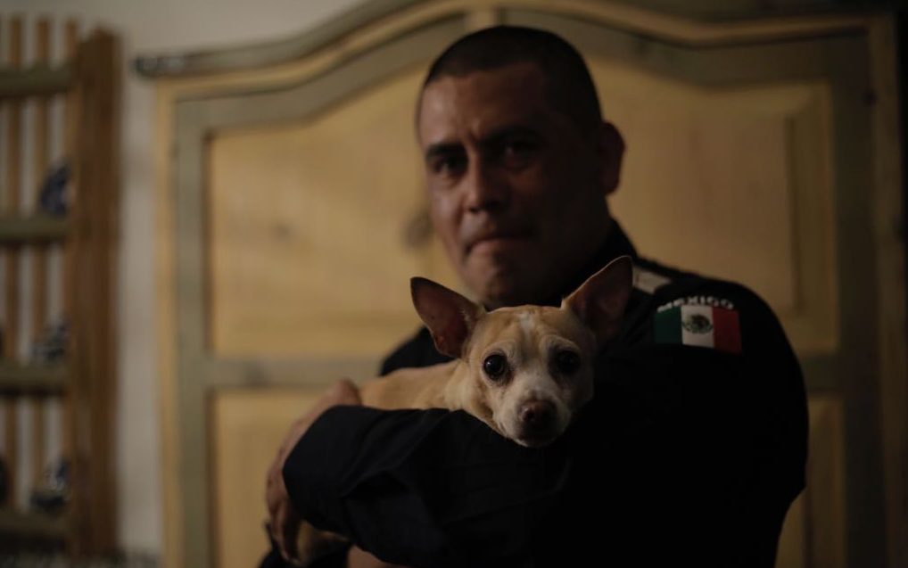 “Camila” la perrita chihuahua, se reunió con el policía federal que la rescató de entre los escombros