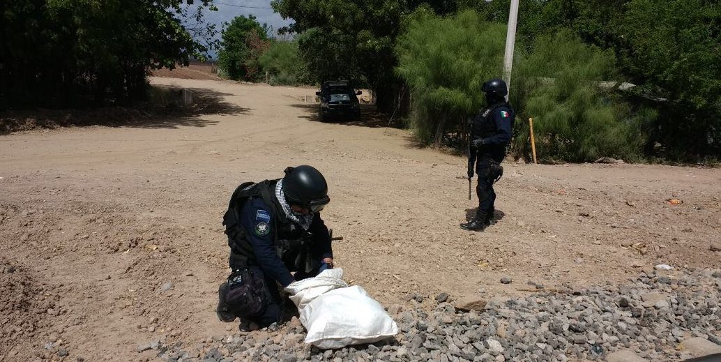 Policía Federal asegura cerca de cuatro kilos de marihuana en Los Mochis, Sinaloa