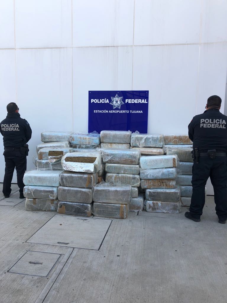 Policía Federal aseguró cerca de 870 kilogramos de marihuana