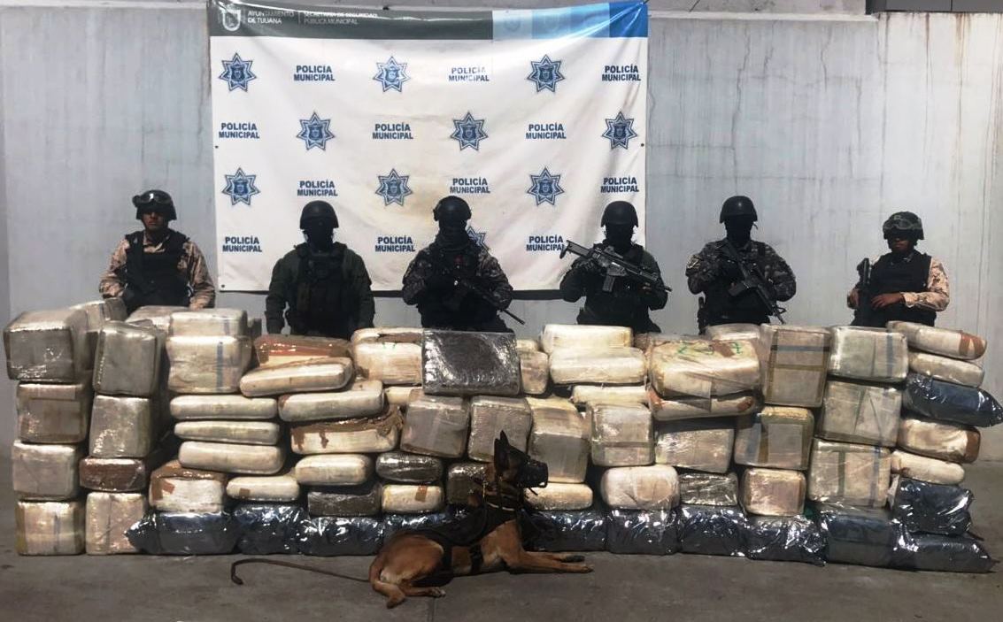 Policía Municipal a través del GOE y Sedena, decomisan una tonelada de marihuana