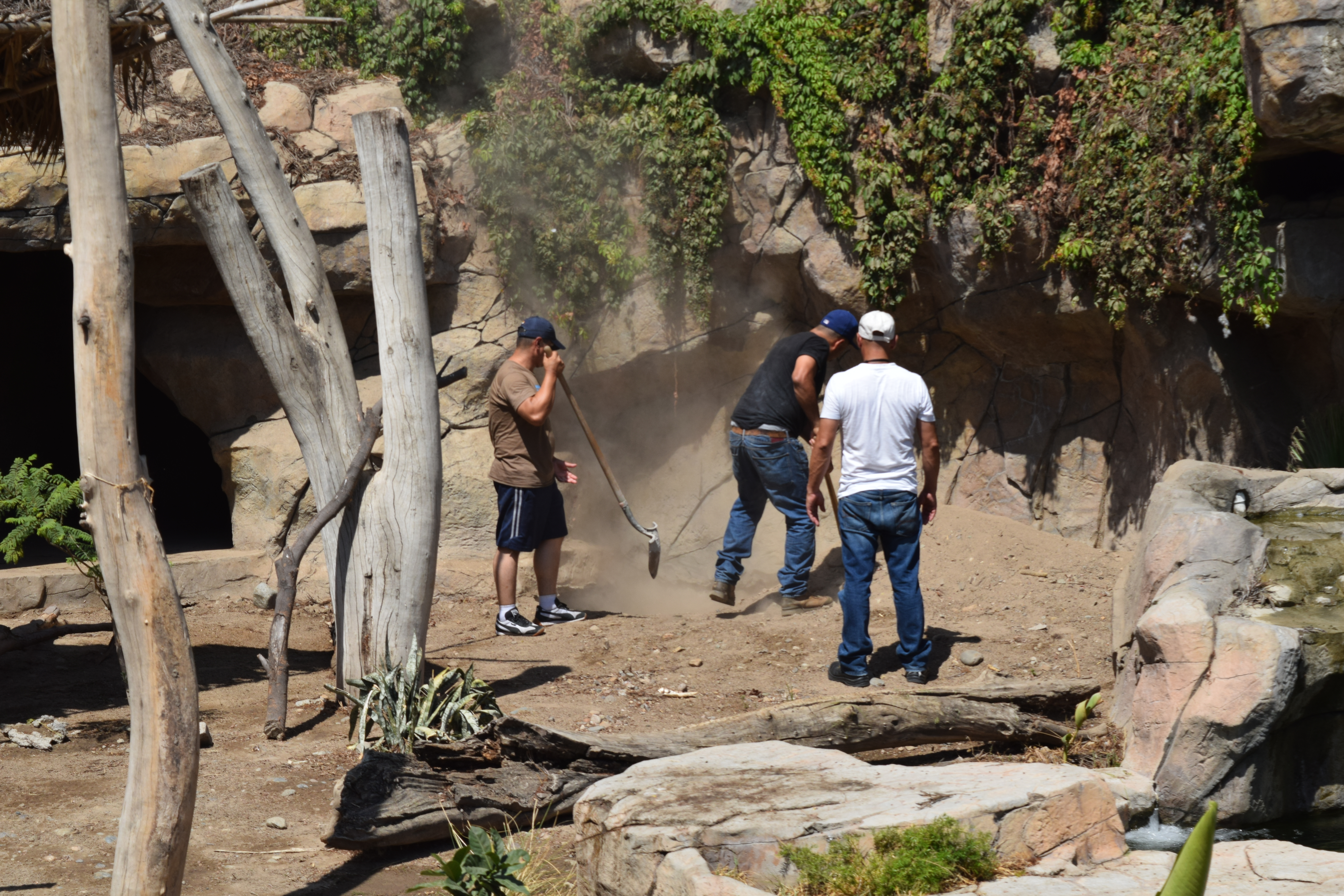 Realizan jornada de limpieza en el Zoológico del Parque Morelos