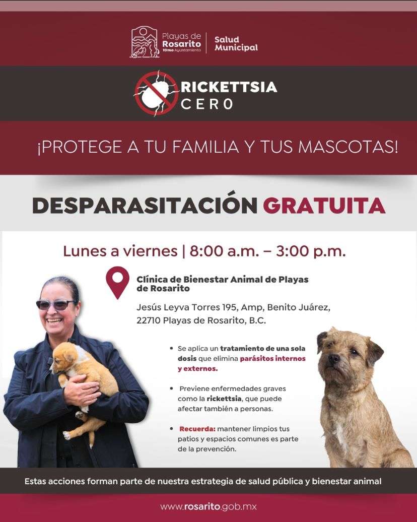 Gobierno de Rocio Adame promueve campaña contra la Rickettsia
